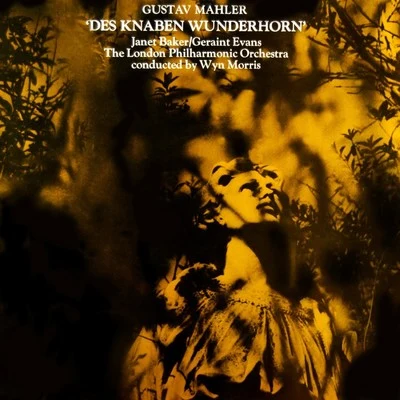 Des Knaben Wunderhorn 專輯 Wyn Morris