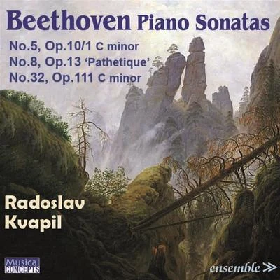 Beethoven: Piano Sonatas Nos. 5, 8 "Pathétique" & 32 专辑 Josef Palenicek/Radoslav Kvapil/Stanislav Apolín/Sasa Vectomov