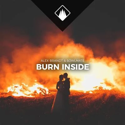 Alex BrandtguitkSPIRIT LINKMatty CMokoaKildarekirstyQuintino & Blasterjaxx Burn Inside (Extended Mix)