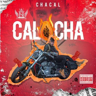 Calocha 專輯 El Chacal/Lenier/Srta. Dayana/Yomil y El Dany/El Micha