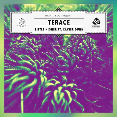 Little Higher 专辑 Terace/Milou