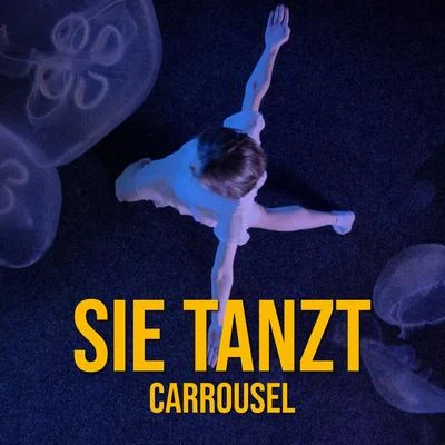 Sie tanzt 专辑 Carrousel/twocolors