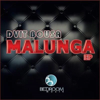 Malunga 專輯 Dvit Bousa/Dj Wady