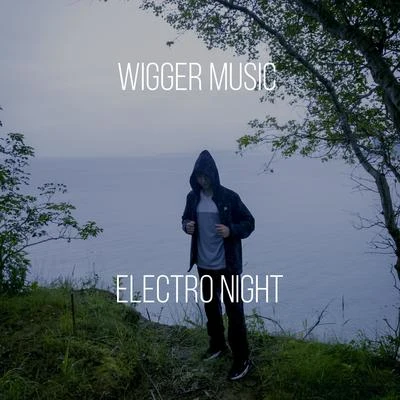 Electro Night 专辑 WiGGER music/SAINt JHN