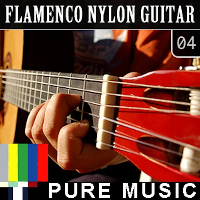 Flamenco Nylon Guitar, Vol. 4 專輯 Raney Shockne/Giorgio Moroder