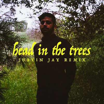 Head In The Trees (Justin Jay Remix) 專輯 Justin Jay