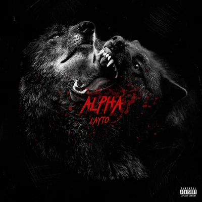 ALPHA 專輯 Layto/Neoni