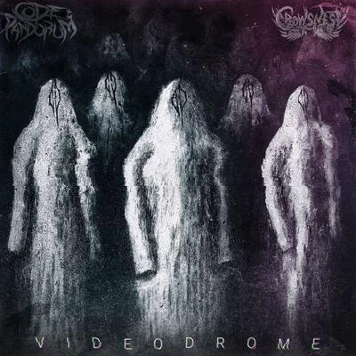 Videodrome LP 專輯 Code: Pandorum