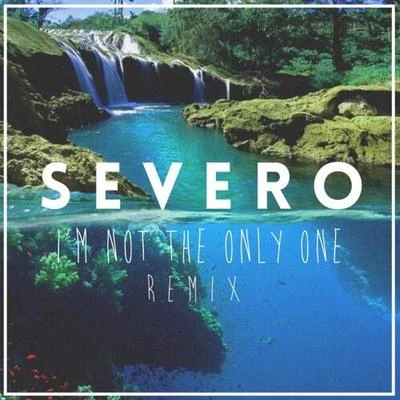 Im not the only one (Severo Remix) 專輯 ToWonder/Severo