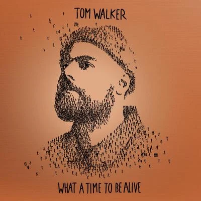 What a Time To Be Alive (Deluxe Edition) 專輯 Tom Walker/MJ Cole