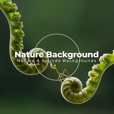 Nature Background 專輯 Nature & Sounds Backgrounds