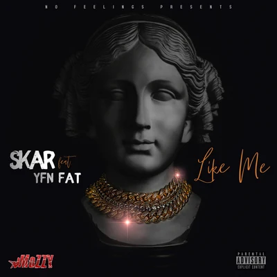 Like Me (feat. YFN FAT) 专辑 Skar