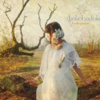 kokohadoko 專輯 釘宮理恵