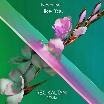 Never Be Like You (Remix) 專輯 Reg Kaltani