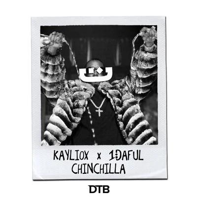 Chinchilla 专辑 Kayliox