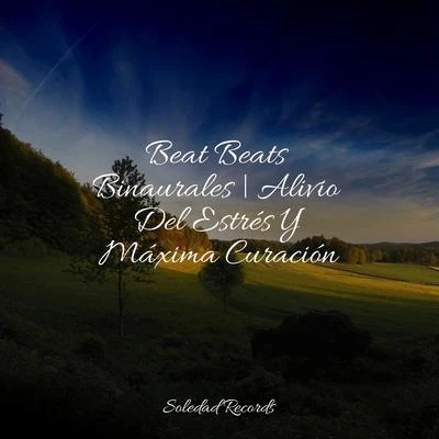 Beat Beats Binaurales | Alivio Del Estrés Y Máxima Curación 專輯 Sons da natureza HD/Meditacao Clube/Spa