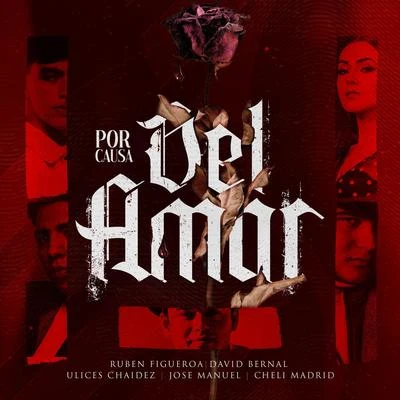 DEL Records Presenta: Por Causa DEL Amor 專輯 DEL Records