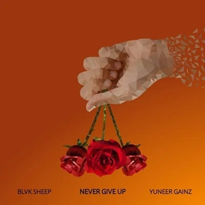 Never Give Up 專輯 Blvk Sheep