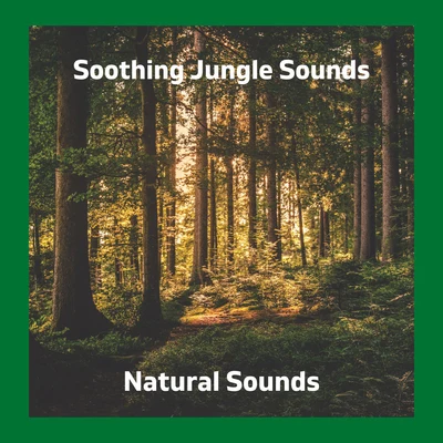 Soothing Jungle Sounds 專輯 Natural Sounds/Zen Meditate/Spa & Spa