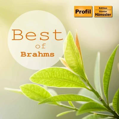 Ferdinand Leitner Best of Brahms