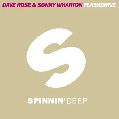 Flashdrive 专辑 Dave Rose