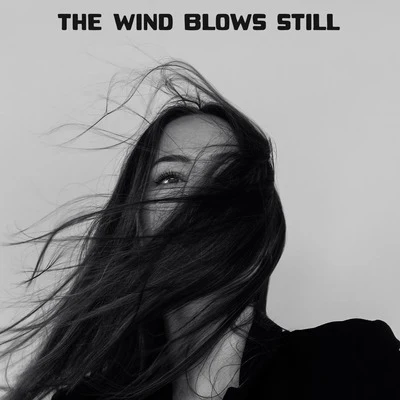 The Wind Blows Still 專輯 Relaxing Acoustic Guitar/Romantic Relaxing Guitar Instrumentals/Guitar Instrumentals