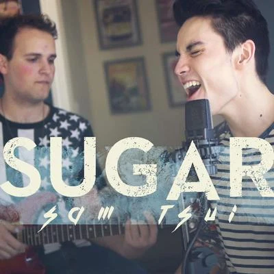 Sugar 專輯 Sam Tsui