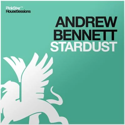 Andrew Bennett Stardust