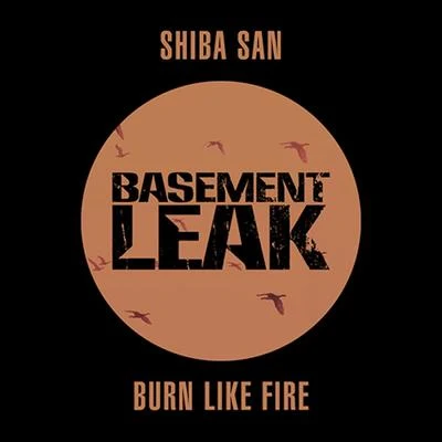 Burn Like Fire 專輯 Shiba San/Tim Baresko