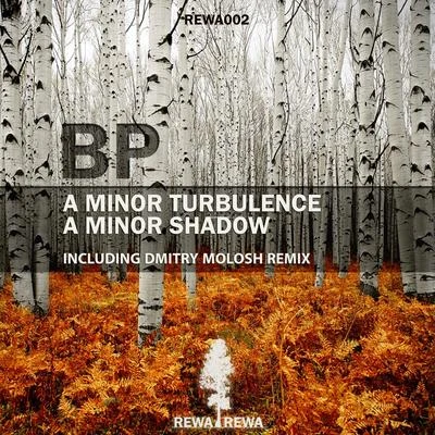 A Minor TurbulenceA Minor Shadow 專輯 BP/Rival Consoles/Kiasmos/Flash Atkins/Ambassadeurs