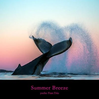 Summer Breeze 專輯 Uknown author/Trio/Václav Kucera se svou skupinou