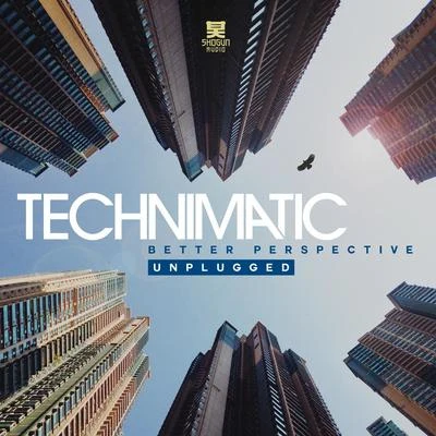 Technimatic Better Perspective (Unplugged)