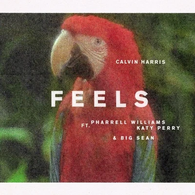 Feels 專輯 Pharrell Williams