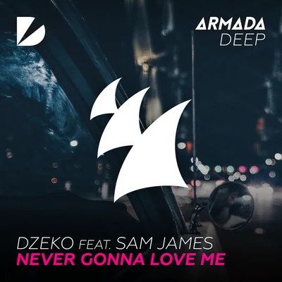 Never Gonna Love Me 專輯 Dzeko/DJ D-Sol