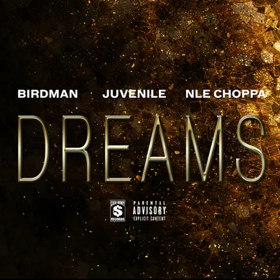 Dreams 專輯 Birdman