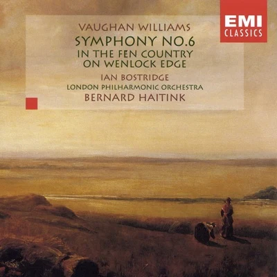 Vaughan Williams: Symphony No. 6 In the Fen Country On Wenlock Edge 專輯 Eduard van Remoortel/Bernard Haitink/André Previn/Herman Krebbers/Michele Campanella