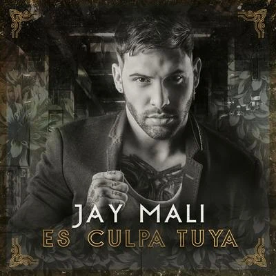 Es Culpa Tuya 專輯 Darian/Jay Maly