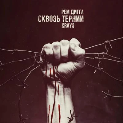 Сквозь тернии (feat. Krays) 專輯 Zvonkiy/Rem Digga