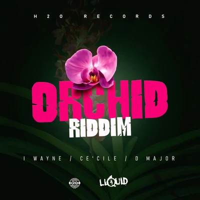 Orchid Riddim 專輯 CeCile/Kalash/DJ Fly