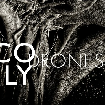 Drones 專輯 Nico Muhly