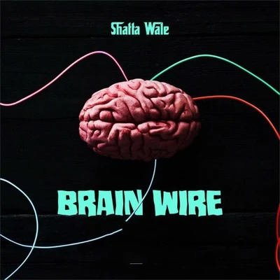 Brain Wire (Freestyle) 專輯 Shatta Wale