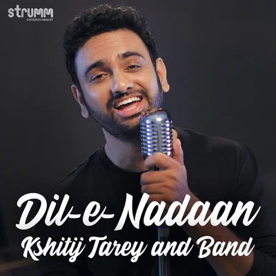 Dil-E-Nadaan - Single 專輯 Tarun Sagar/Gaurav Gupta/Mani Mahadevan/Hrishikesh Kamerkar/Raman Mahadevan