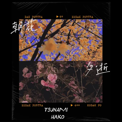 朝花夕逝 專輯 HaKo