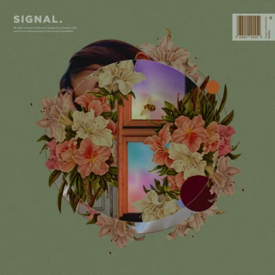 Signal 專輯 PUP