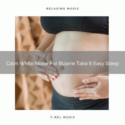 Calm White Noise For Bizarre Take It Easy Sleep 专辑 White Noise Relaxation/Nature Sound Collection/Massage Music