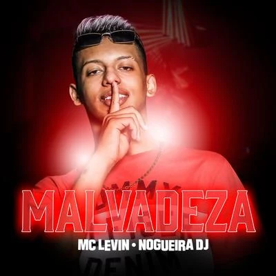 Malvadeza 專輯 MC Levin