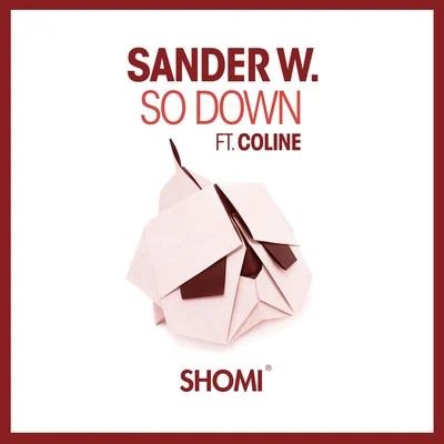 So Down 专辑 Sander W.