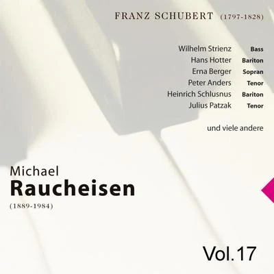 Michael Raucheisen Vol. 17 專輯 Michael Raucheisen