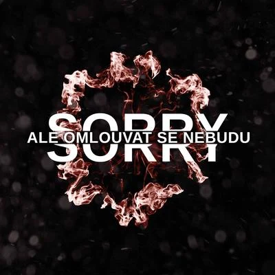 Sorry, ale omlouvat se nebudu 專輯 T-Key/Justin Case