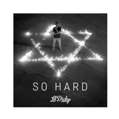 So Hard 专辑 brain/Lil Dicky